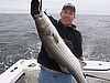 north shore charter fishing striped bass